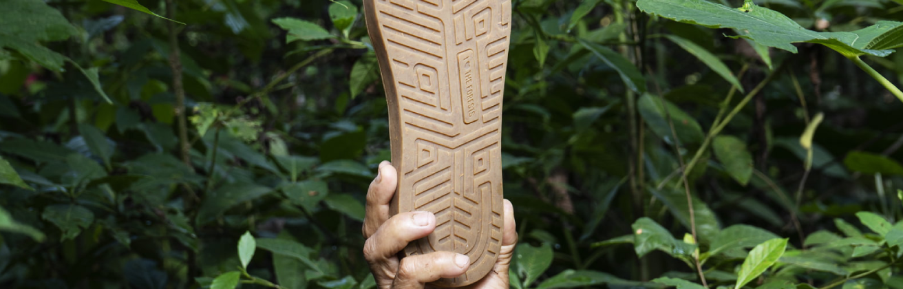 CAXACORI STUDIO: Un ejemplo inspirador de sostenibilidad y conservación en los bosques del Amazonas